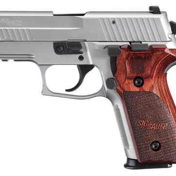 Sig Sauer P229 Elite Stainless 9mm Centerfire Pistol with Night Sights